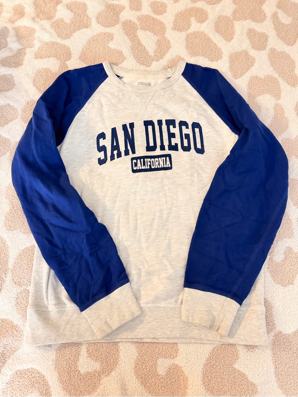 Crewneck Sweatshirt Blue